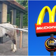 Image for article titled English horse and its terrible owner denied entry to McDonald’s